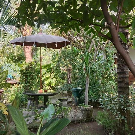 Van Santri Homestay Pemuteran Εξωτερικό φωτογραφία
