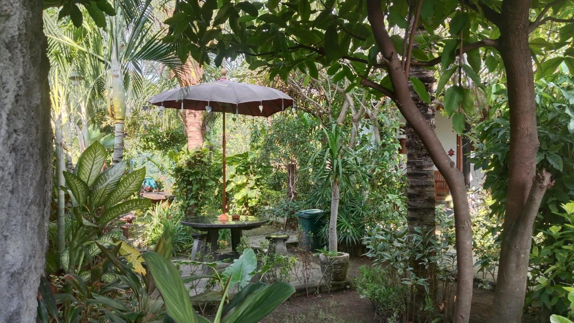 Van Santri Homestay Pemuteran Εξωτερικό φωτογραφία